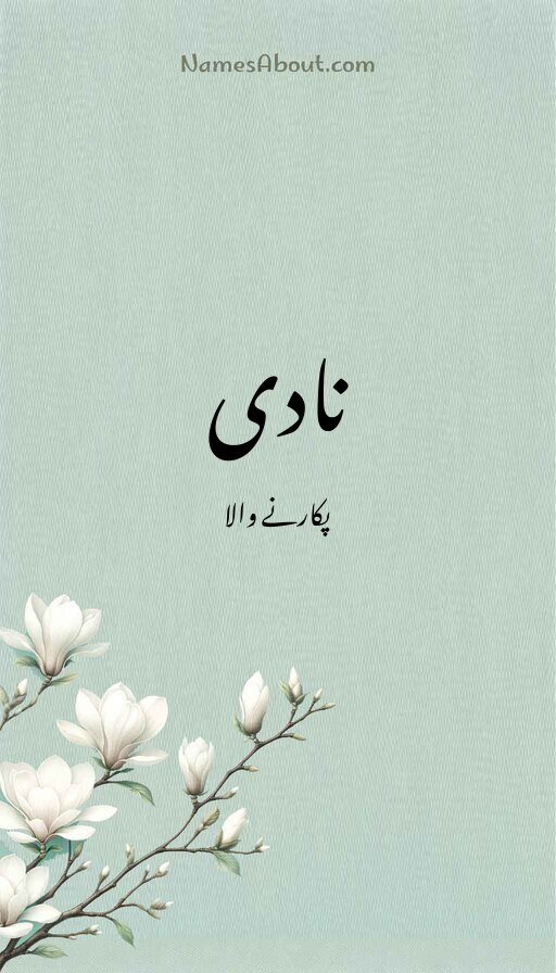 نادی
