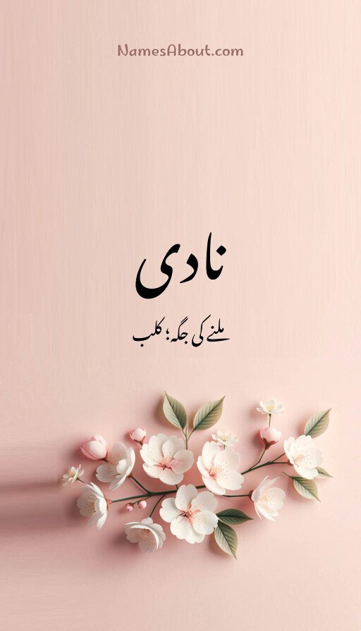 نادی