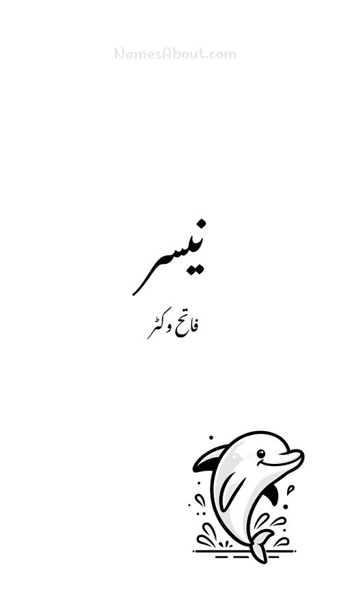 نیسر