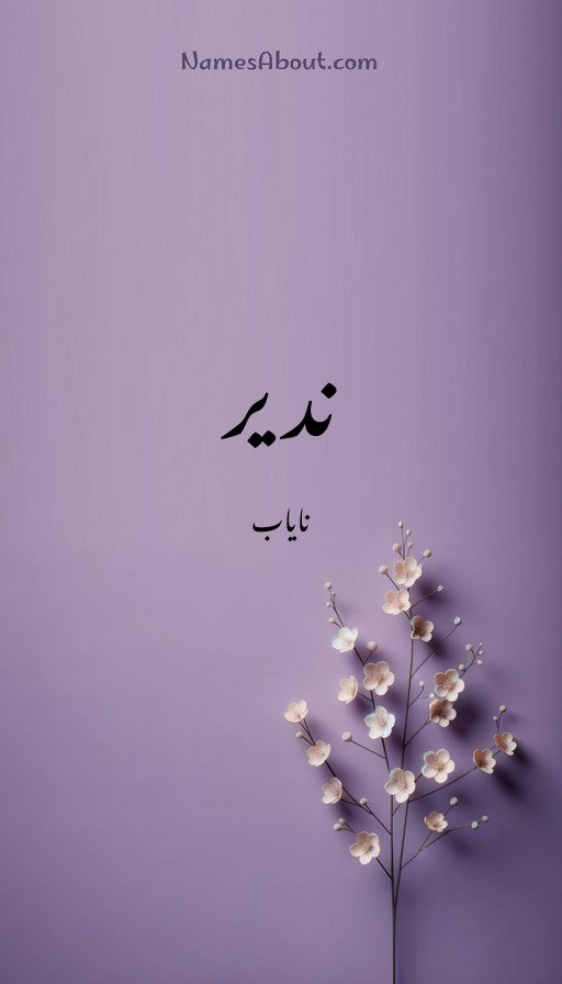 ندیر