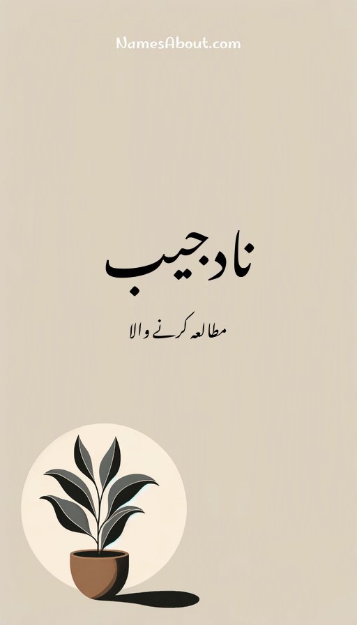 نادجیب