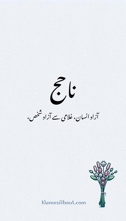 ناحج
