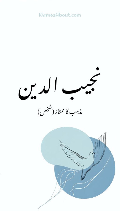 نجیب الدین