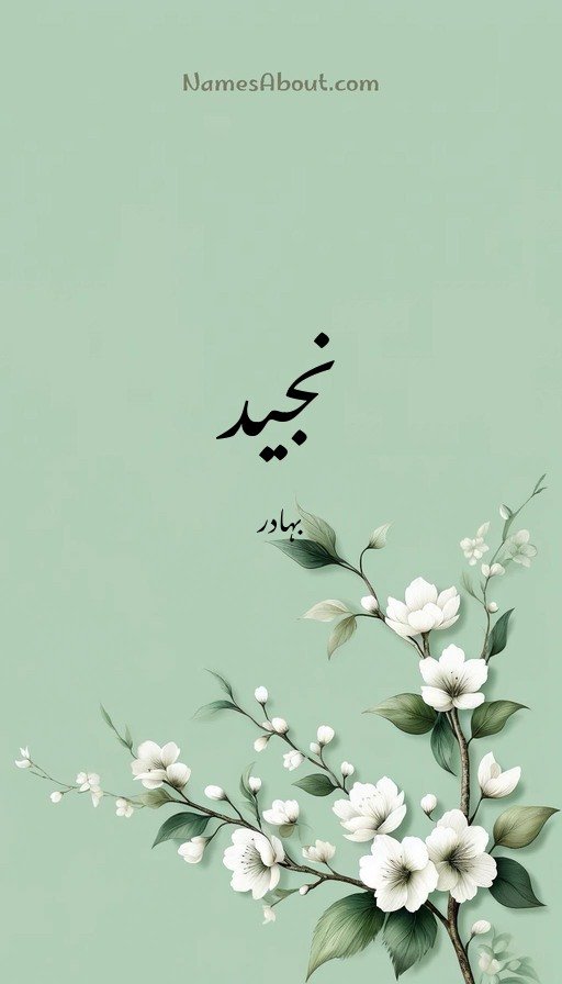 نجید