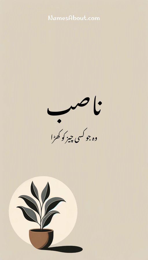 ناصب