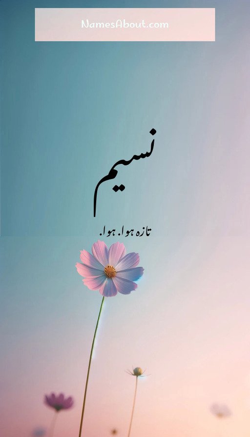 نسیم