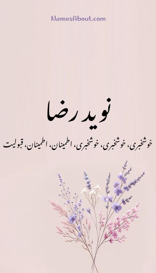 نوید رضا