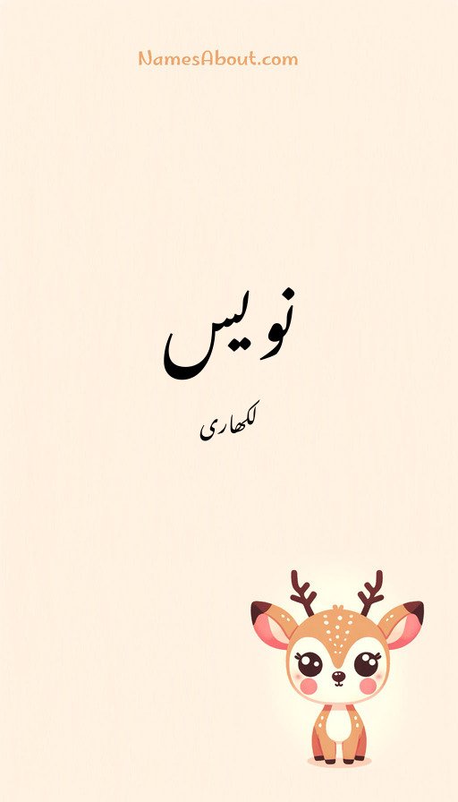 نویس