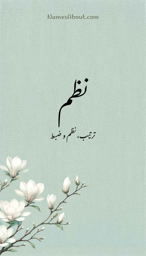 نظم