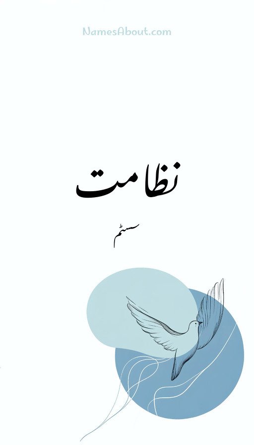 نظامت