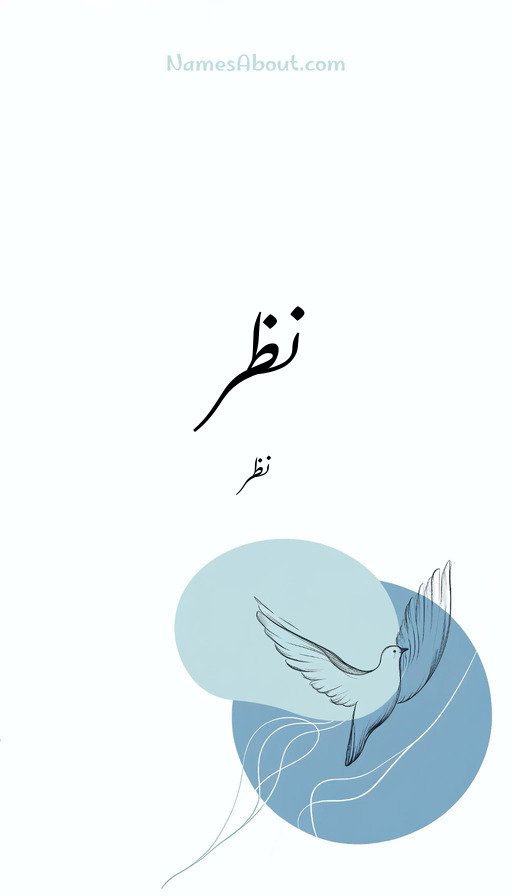 نظر