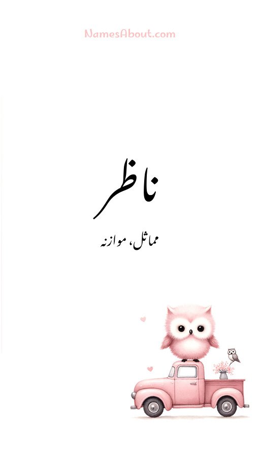 ناظر