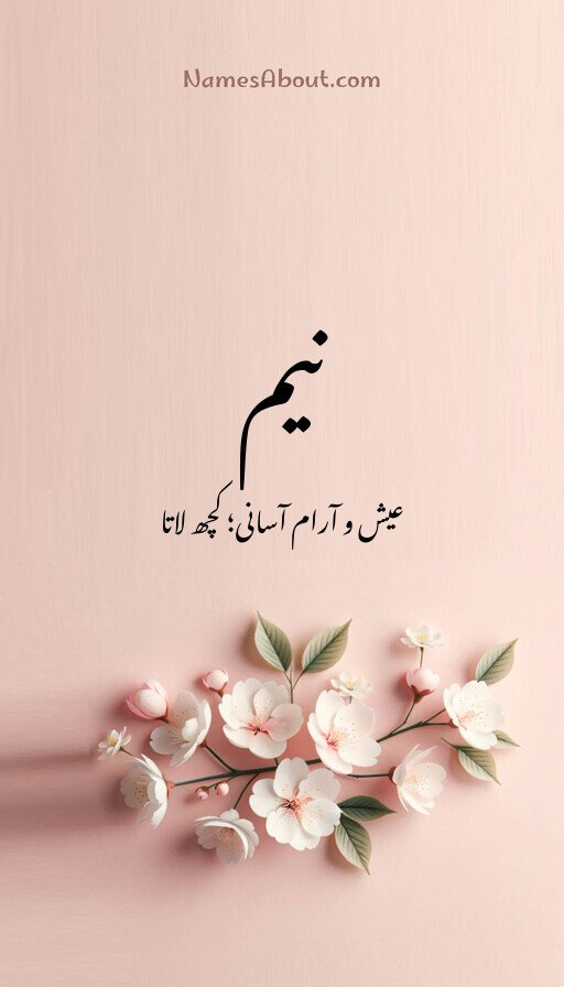 نیم