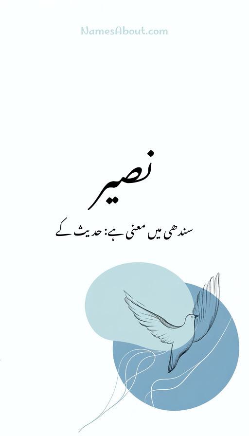 نصیر