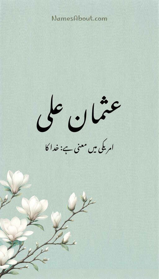 عثمان علی