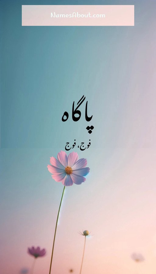 پاگاہ