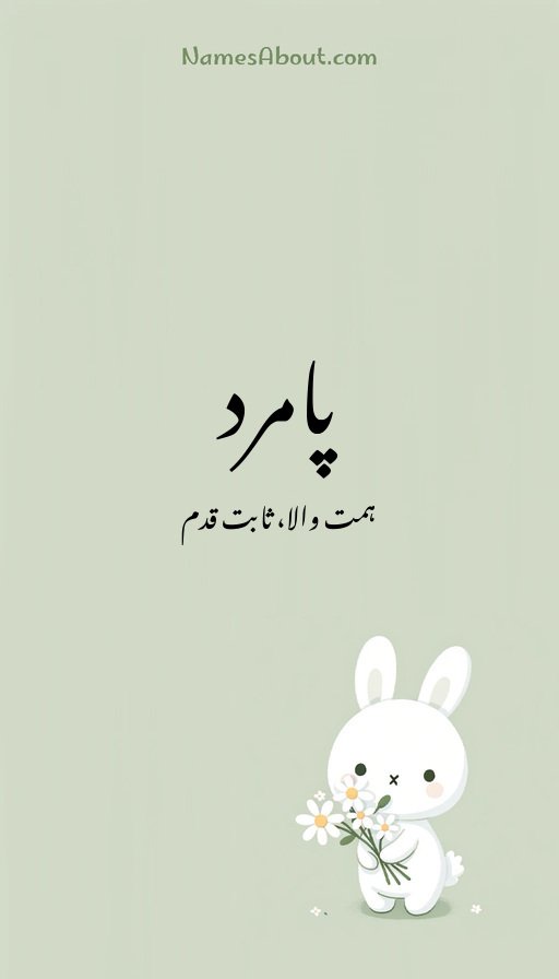 پامرد