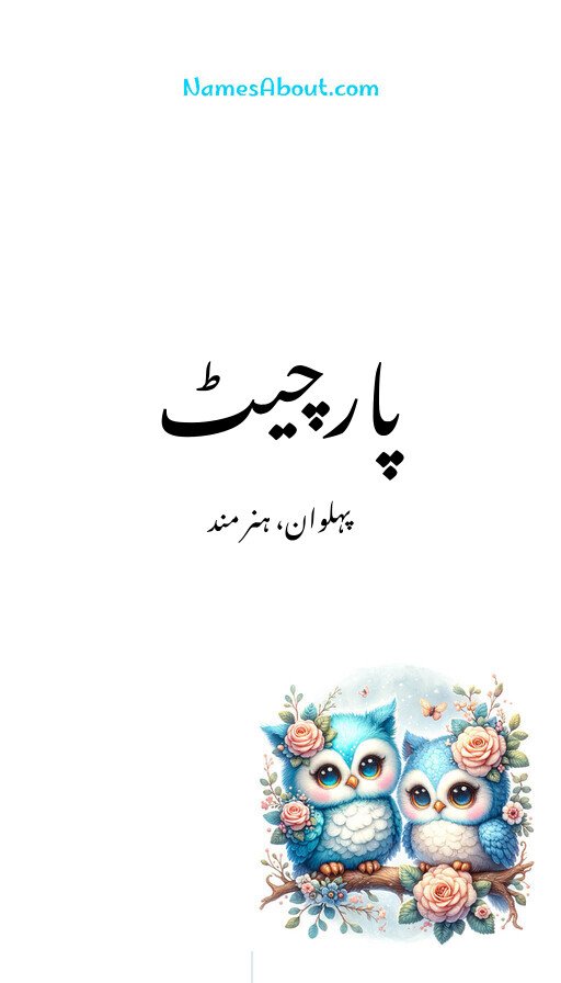 پارچیٹ
