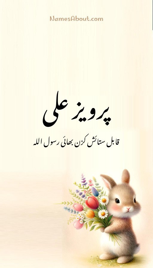 پرویز علی