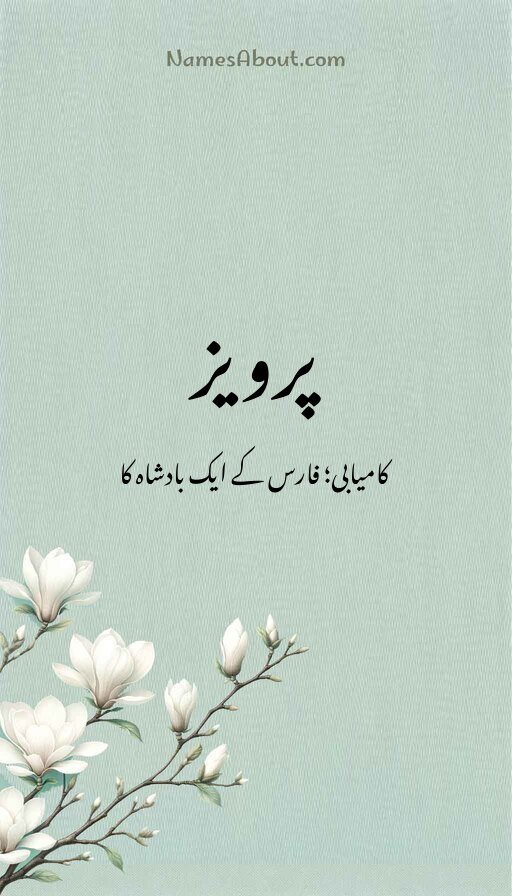 پرویز