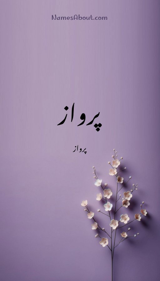 پرواز