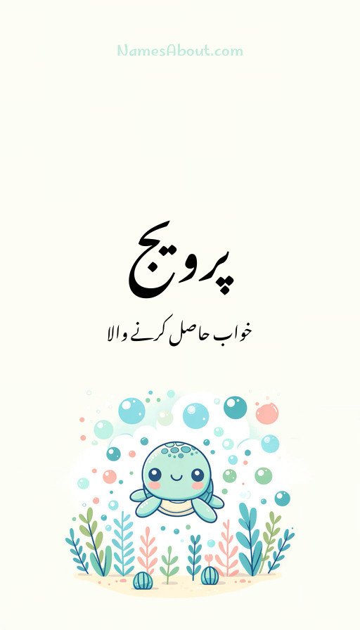 پرویج