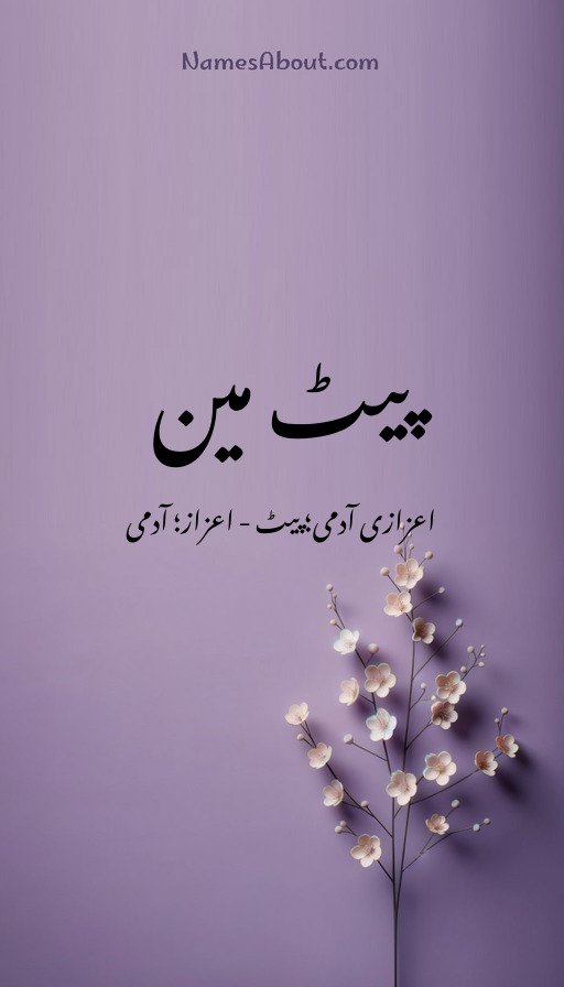 پیٹ مین