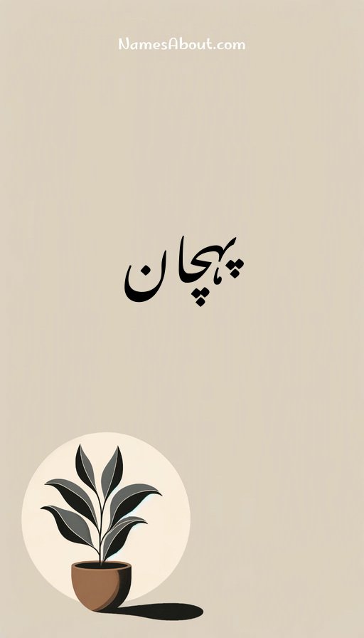 پہچان