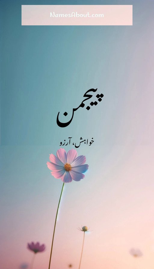 پیجمن