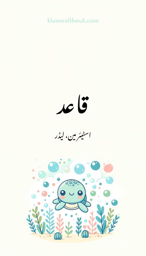 قاعد