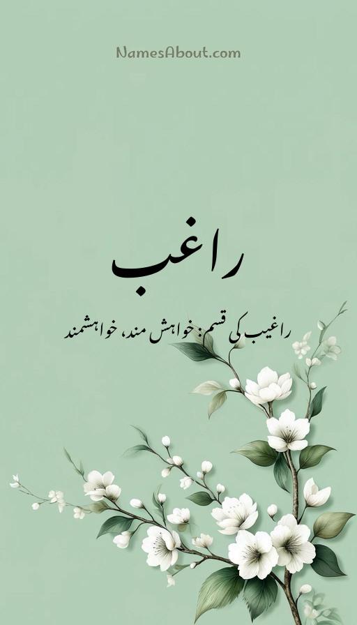 راغب