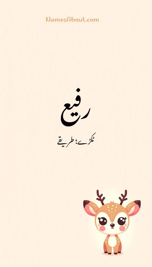 رفیع