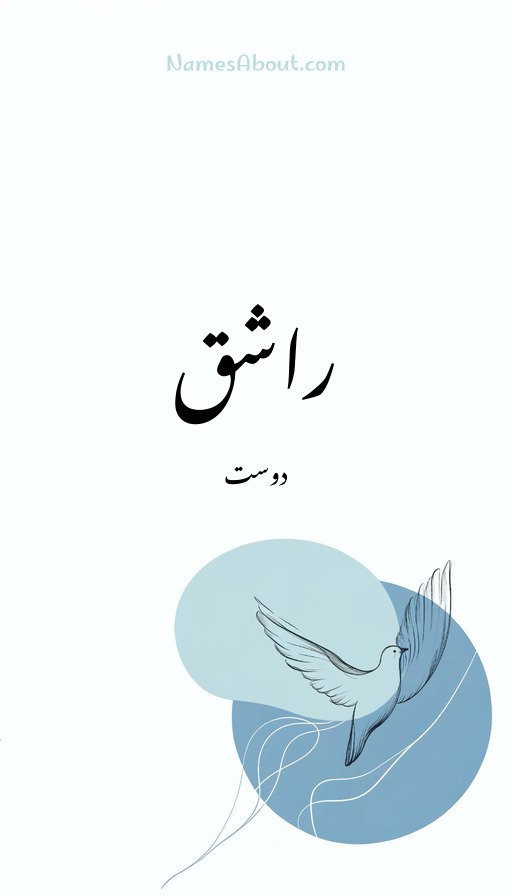 راشق