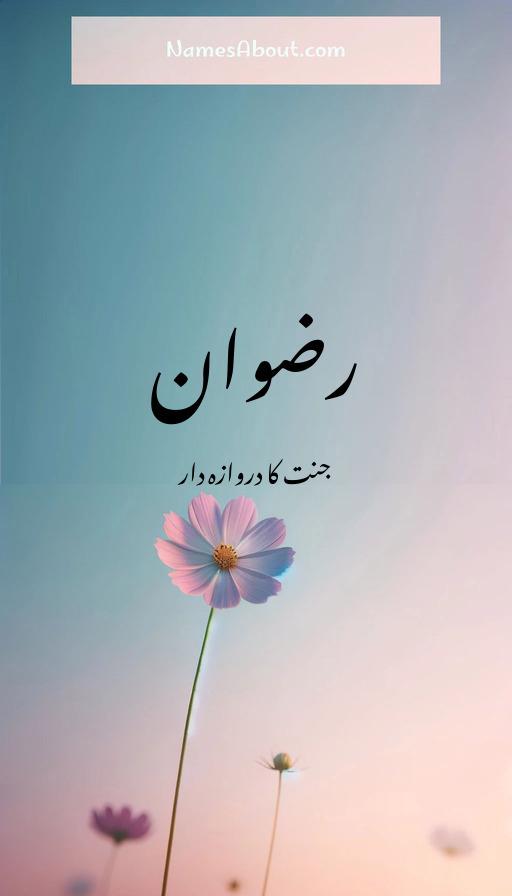 رضوان