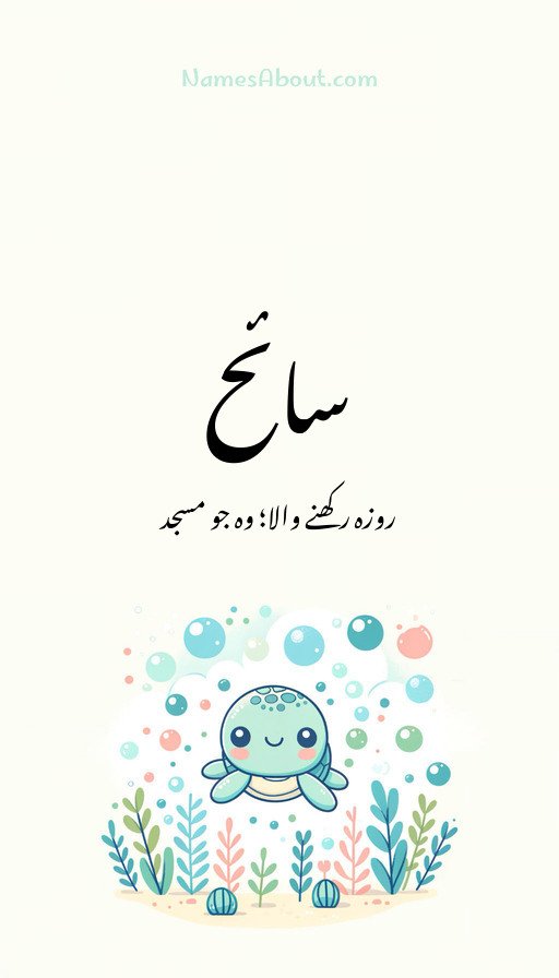 سائح