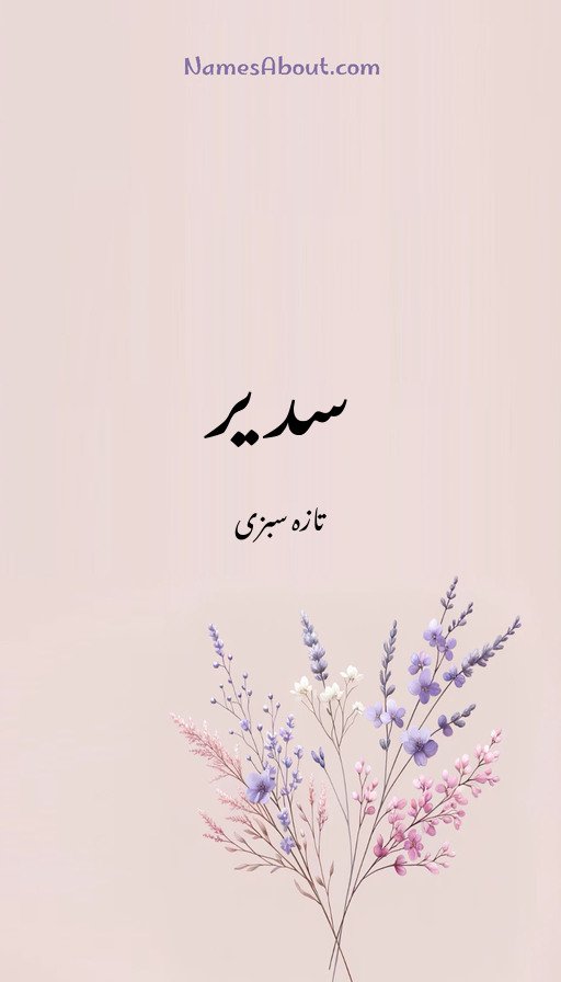 سدیر