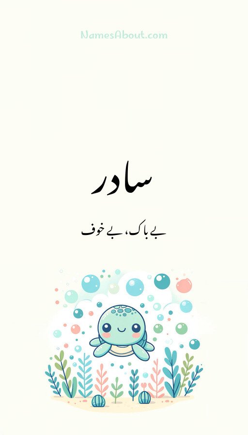 سادر