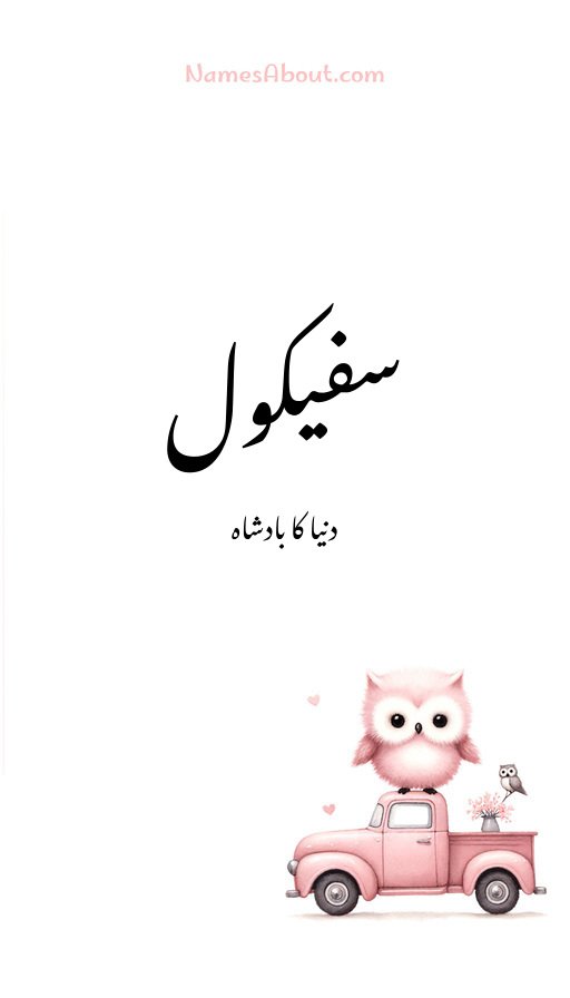 سفیکول