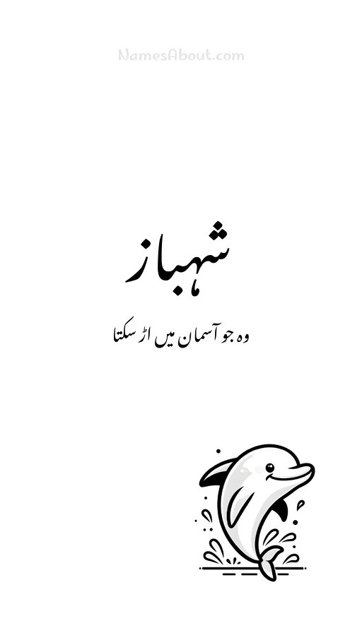 شہباز