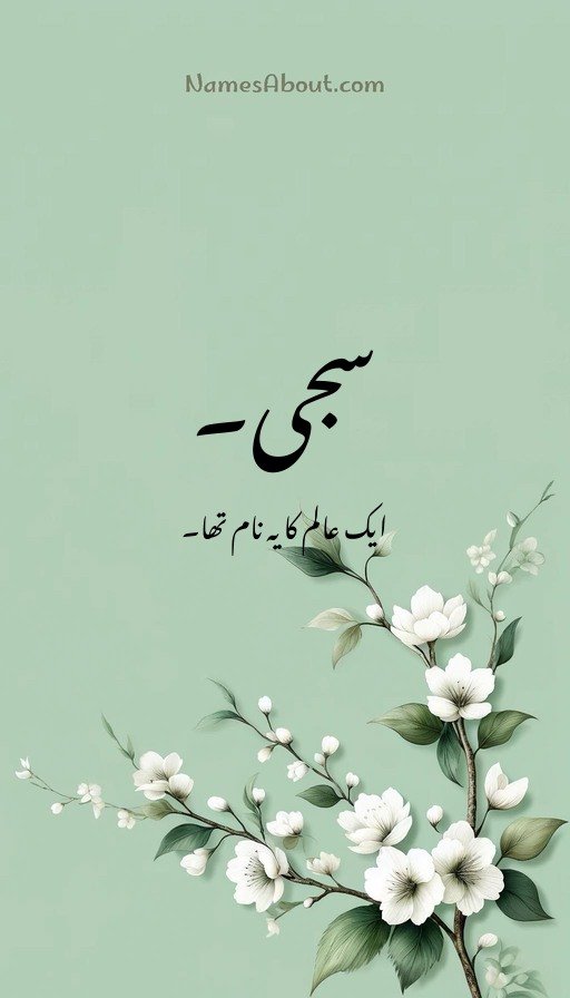 سجی۔