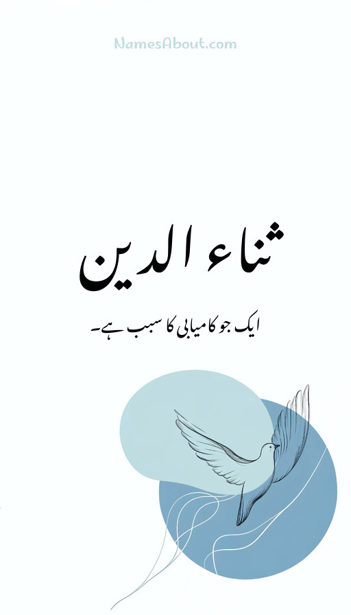 ثناء الدین