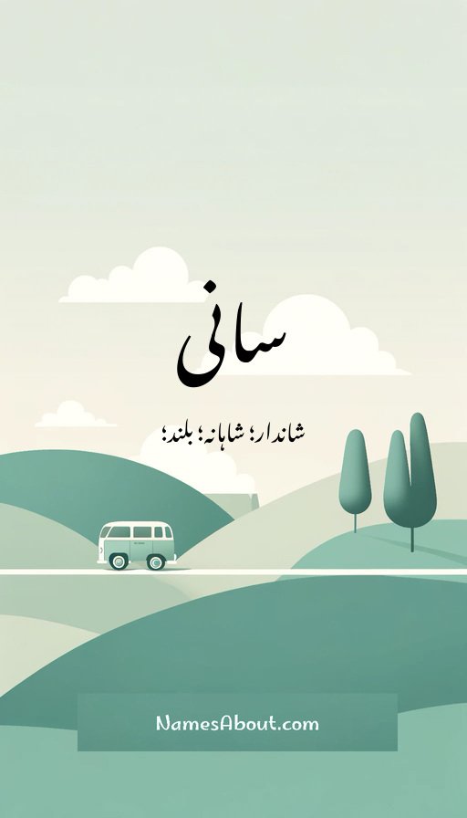 سانی