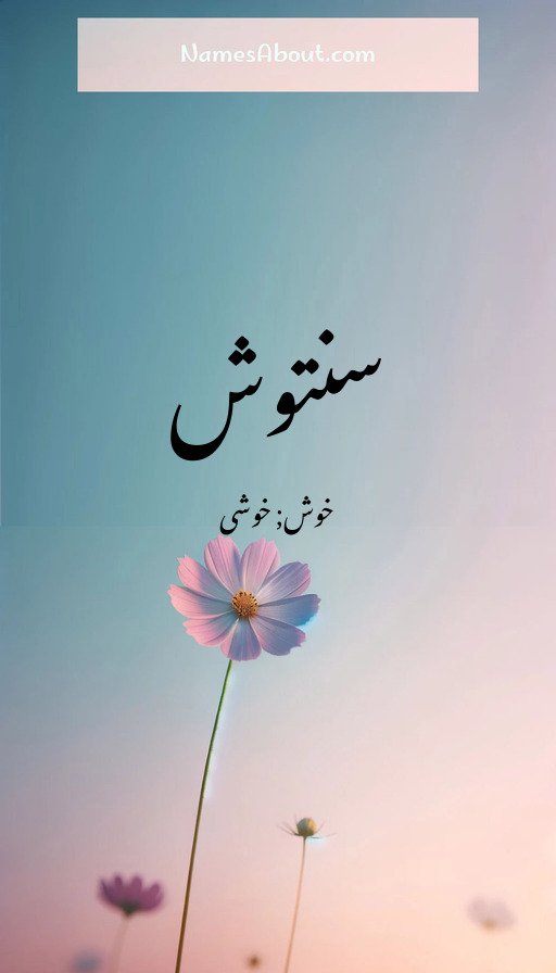 سنتوش