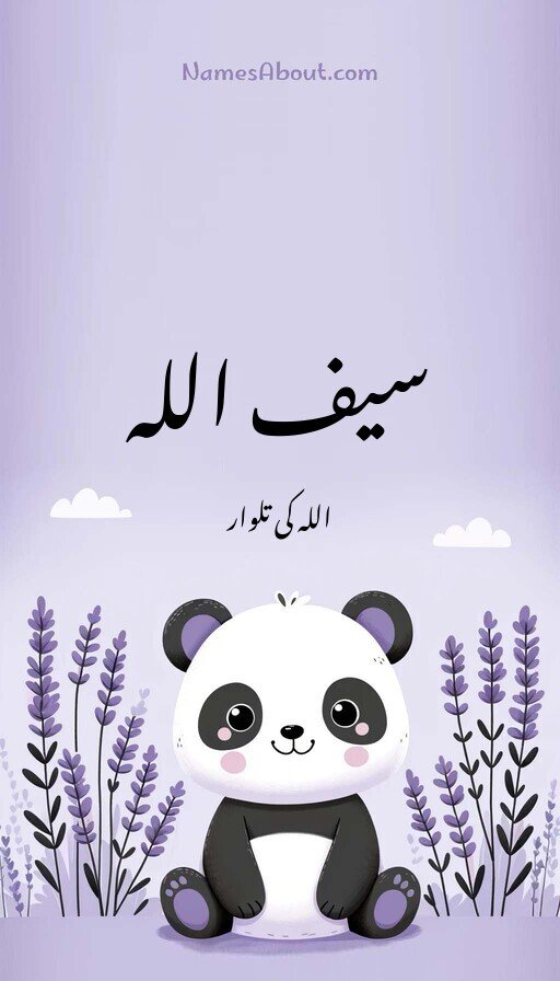 سیف اللہ