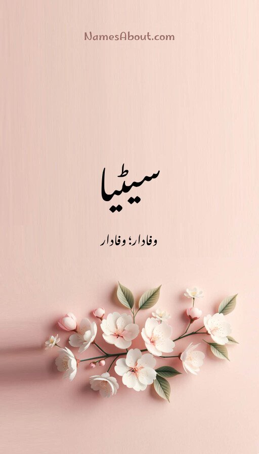 سیٹیا