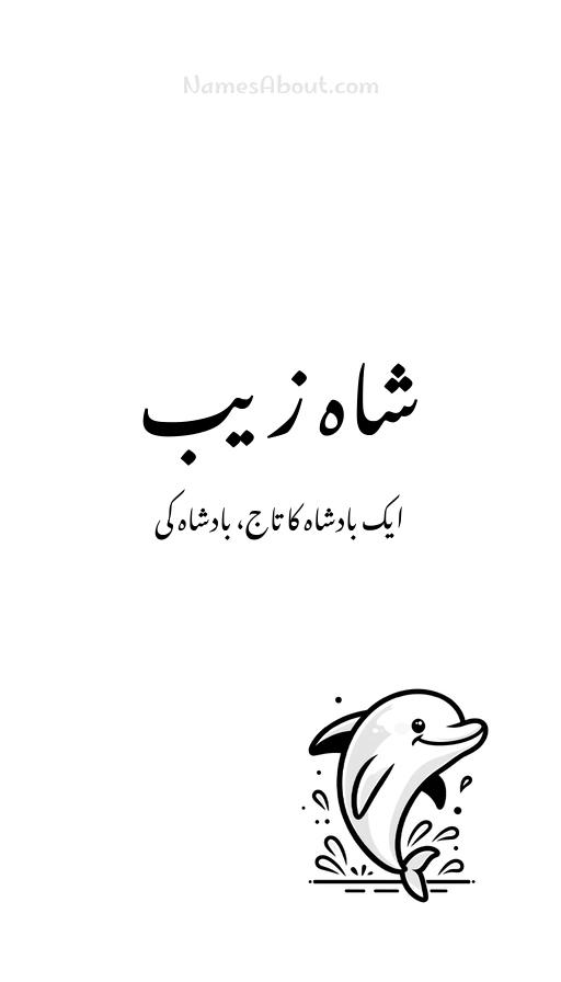 شاہ زیب