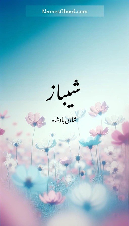 شیباز