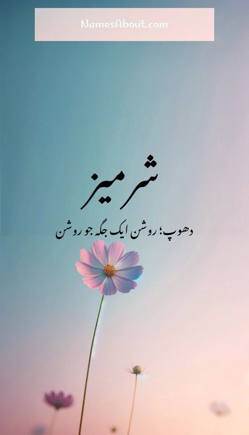 شرمیز