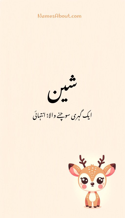 شین