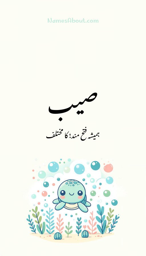 صیب